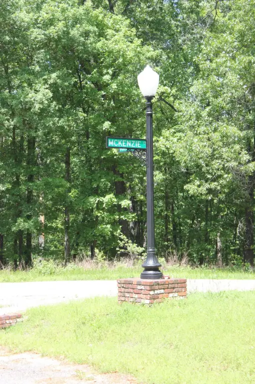 Picture 7