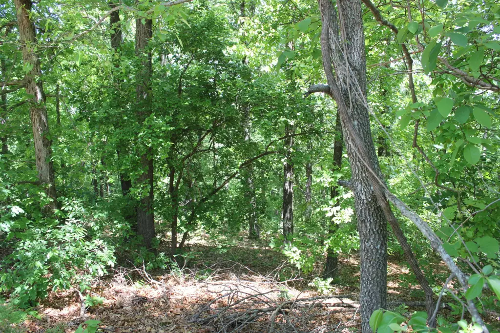 Picture 12
