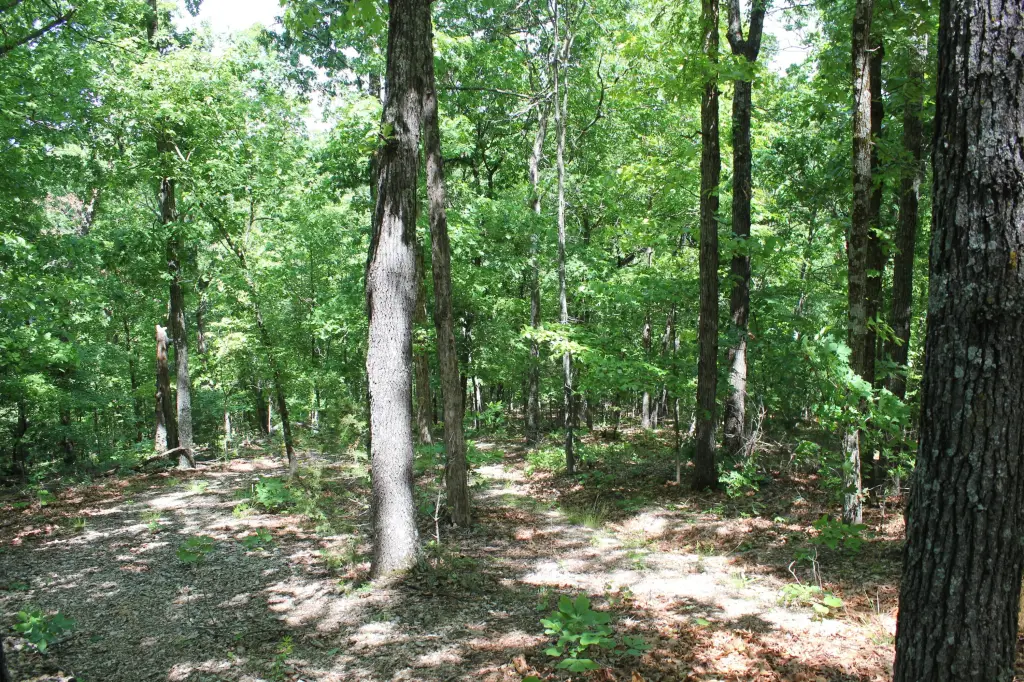 Picture 14