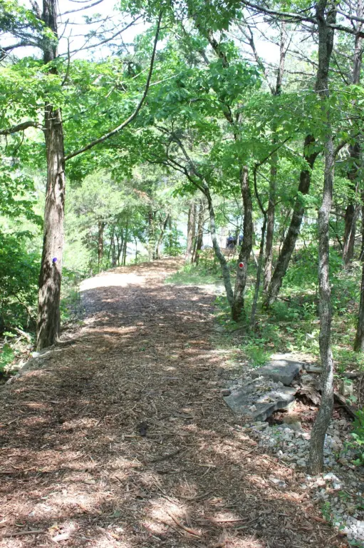 Picture 17