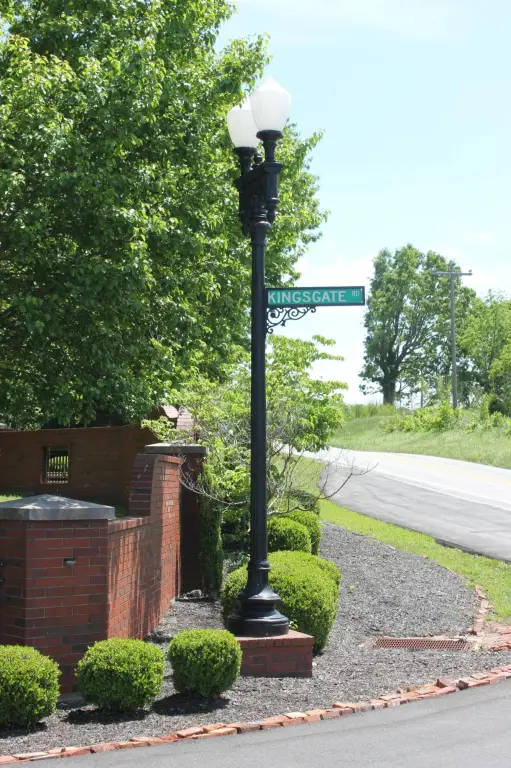 Picture 6