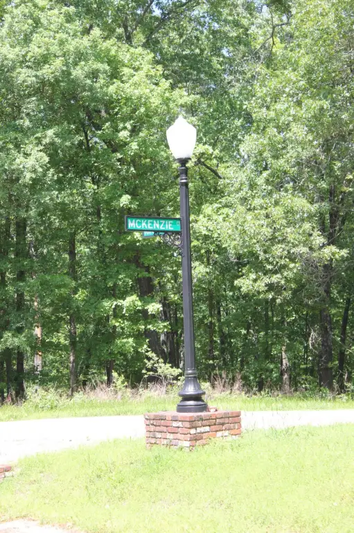 Picture 8