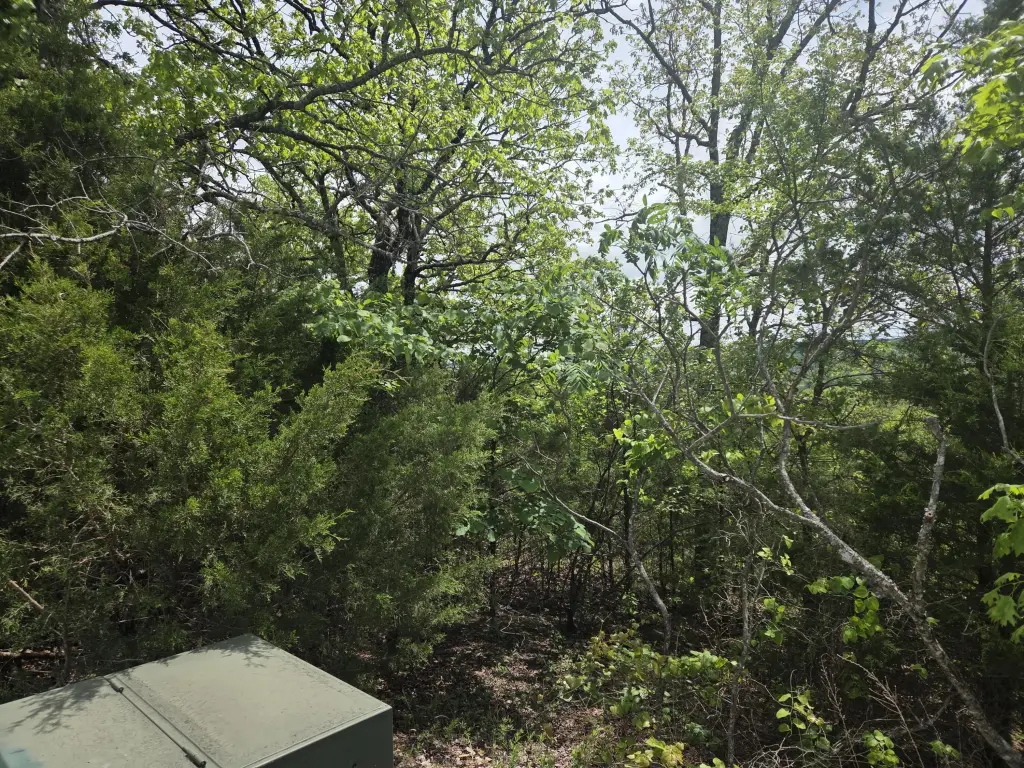 Picture 2