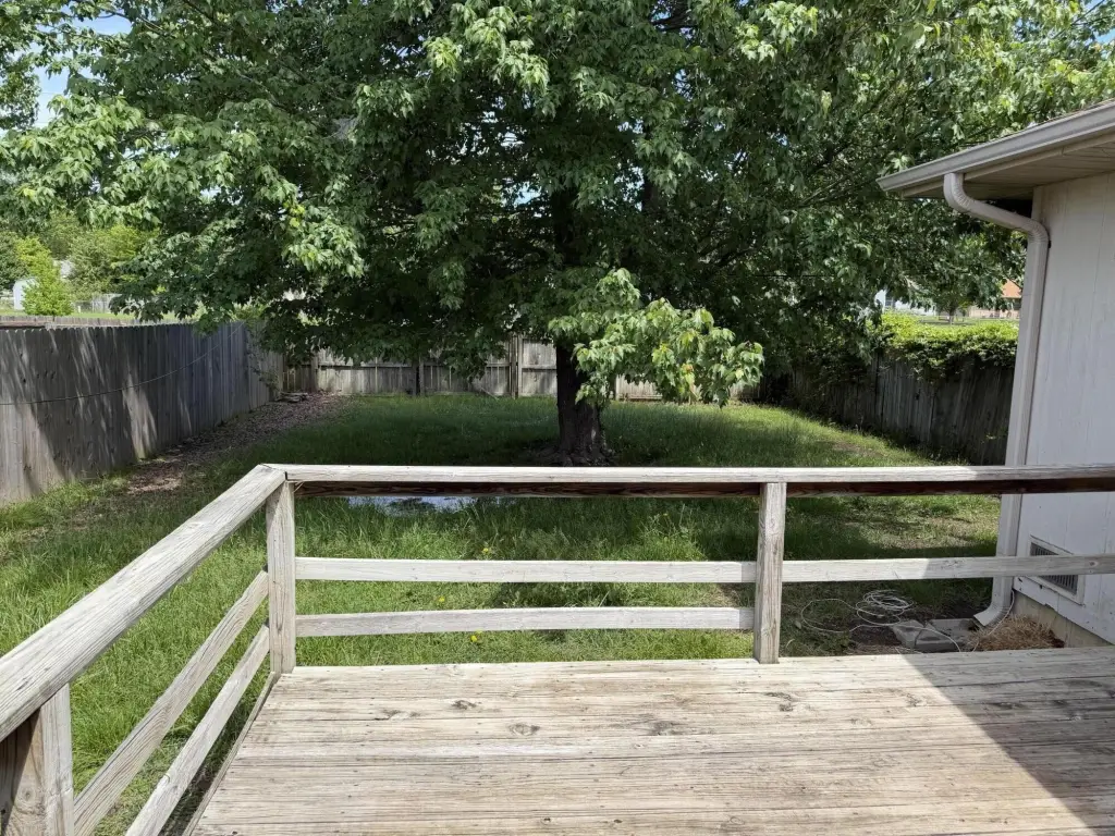 Picture 5