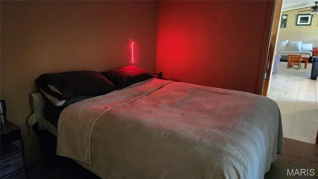 Picture 7