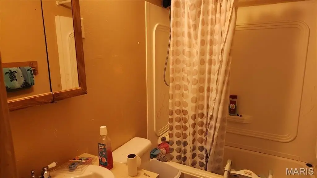 Picture 11