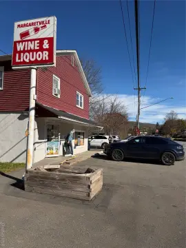 Mixed-Use Investment in Margaretville, NY
