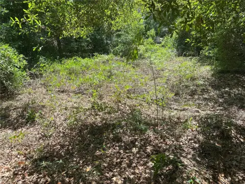 Wooded Land in Crystal River