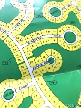 Homosassa, FL Home Site