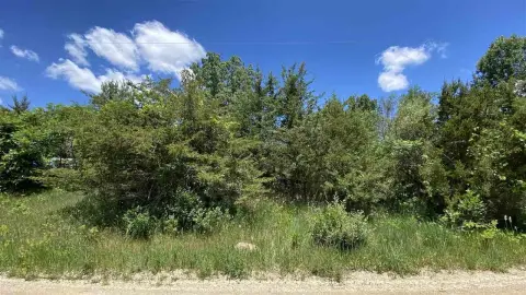 Residential Lot in Jerome, MI
