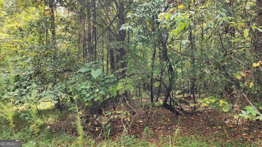 Picture 30