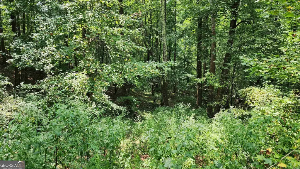 Picture 47