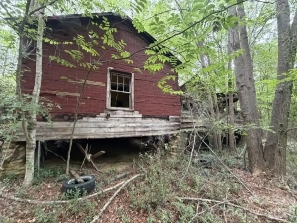 Picture 4
