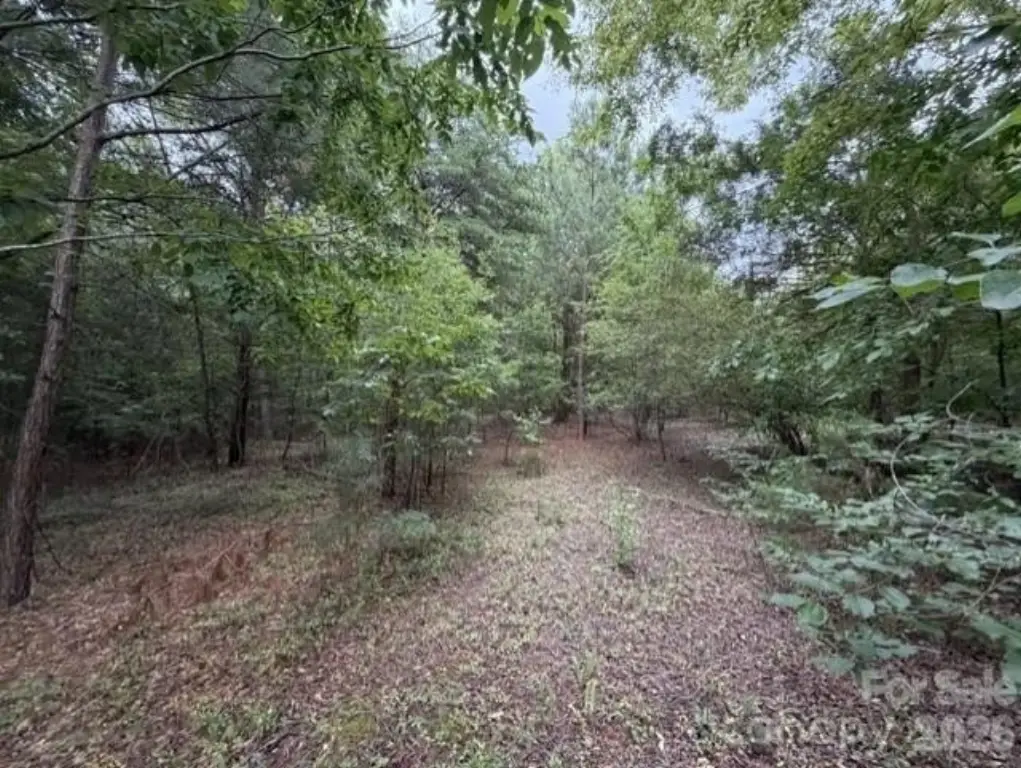 Picture 22