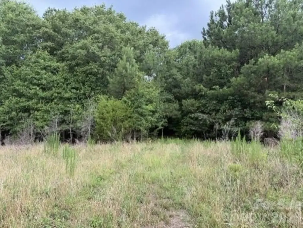 Picture 23
