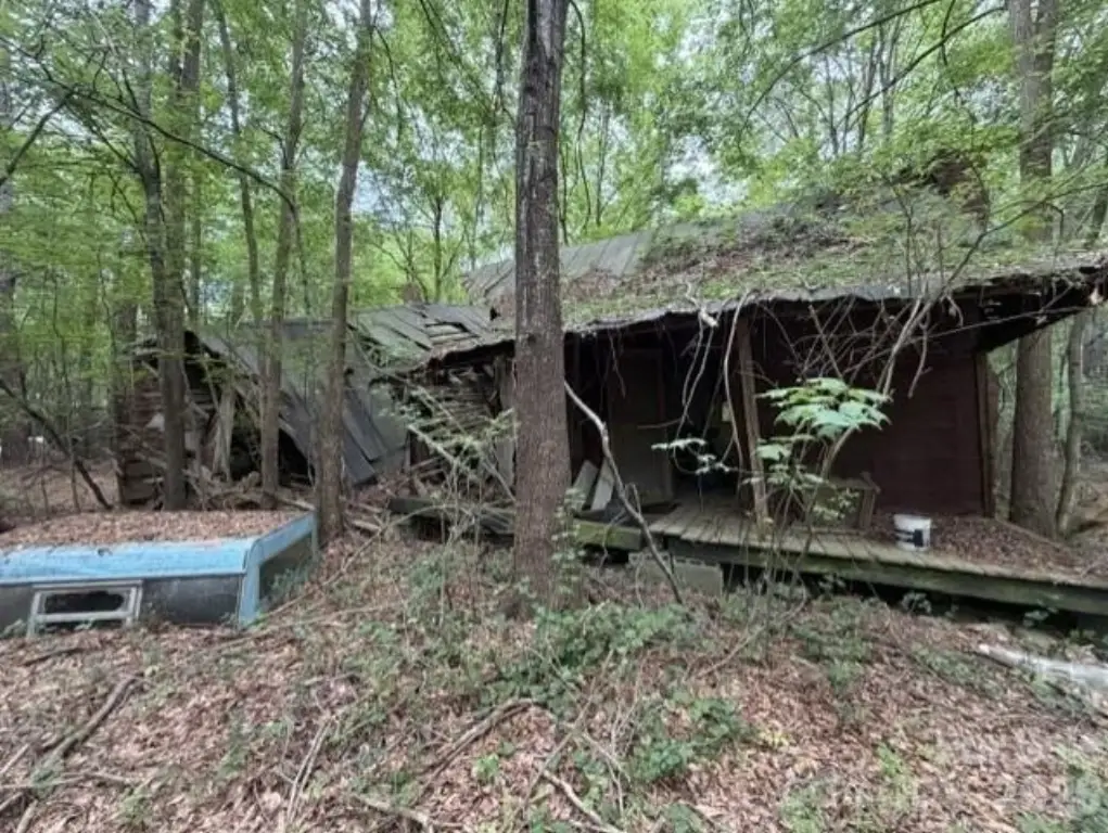 Picture 7