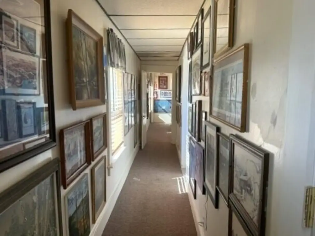 Picture 5