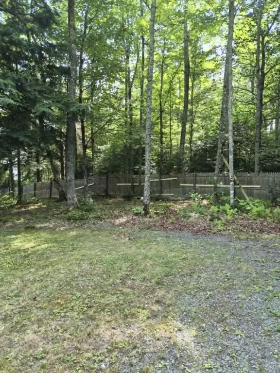 Picture 14