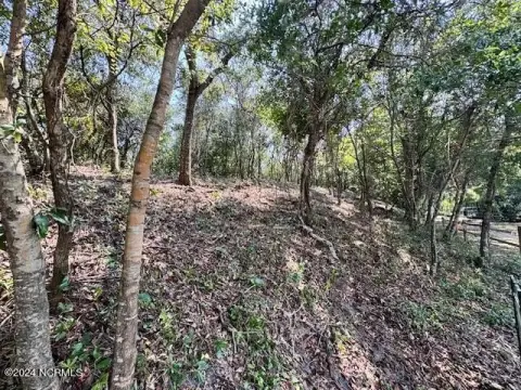 Residential Land in Surf City