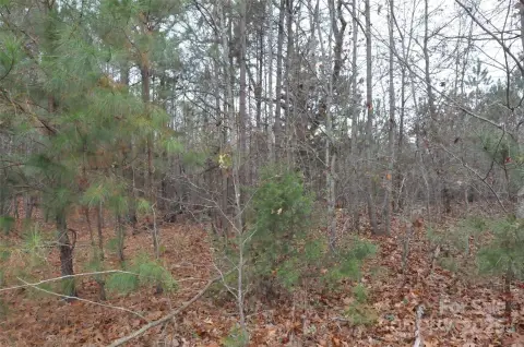 Land Available in Blackstock, SC