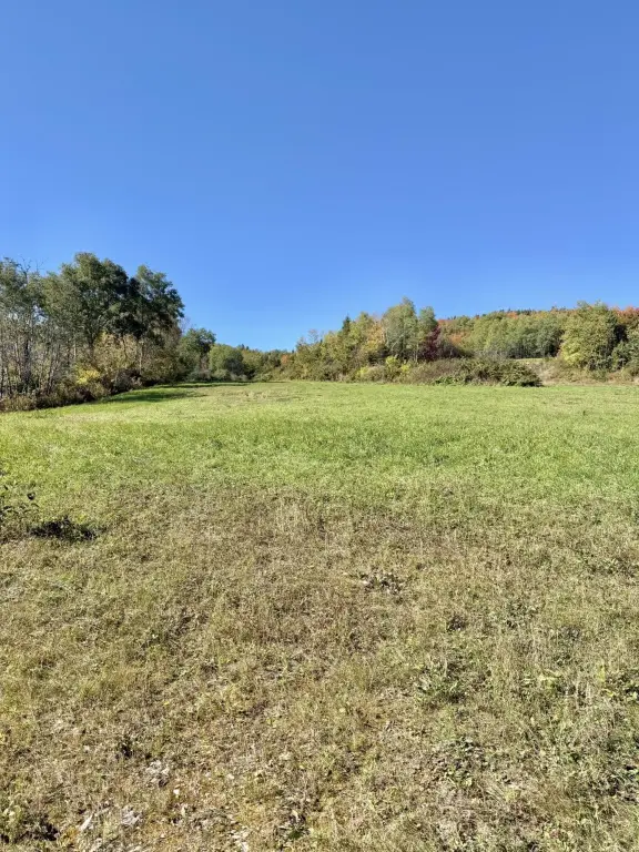 Picture 21