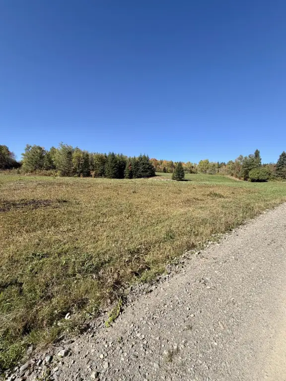 Picture 25