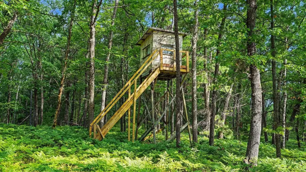 Picture 6