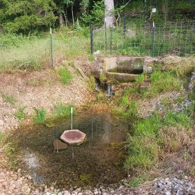 Picture 5