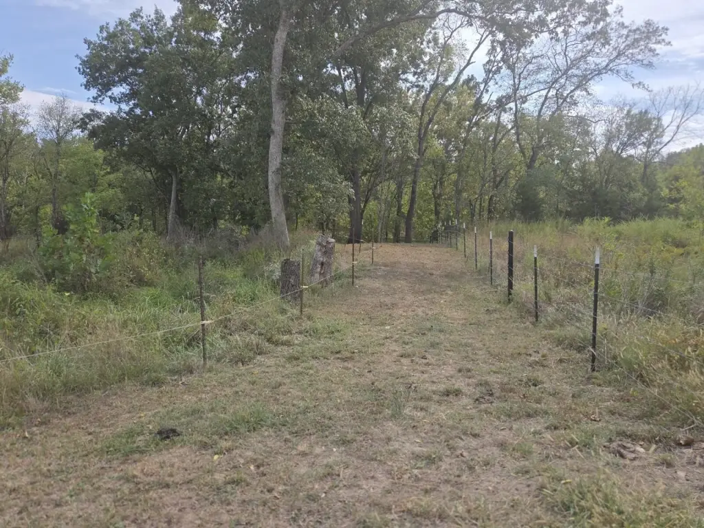 Picture 15