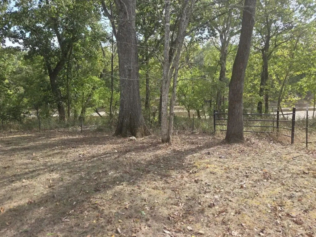 Picture 16