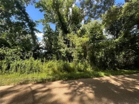 Wooded Acreage in Dry Prong