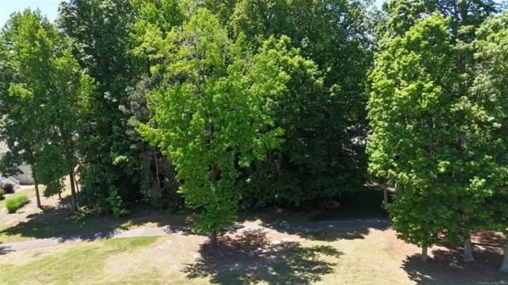 Picture 9