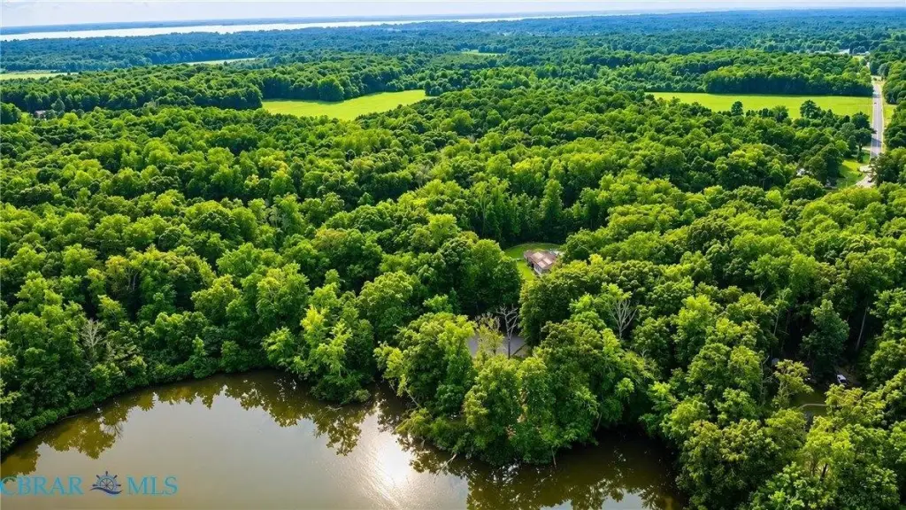 Picture 4