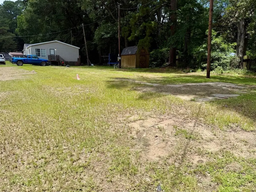 Picture 4