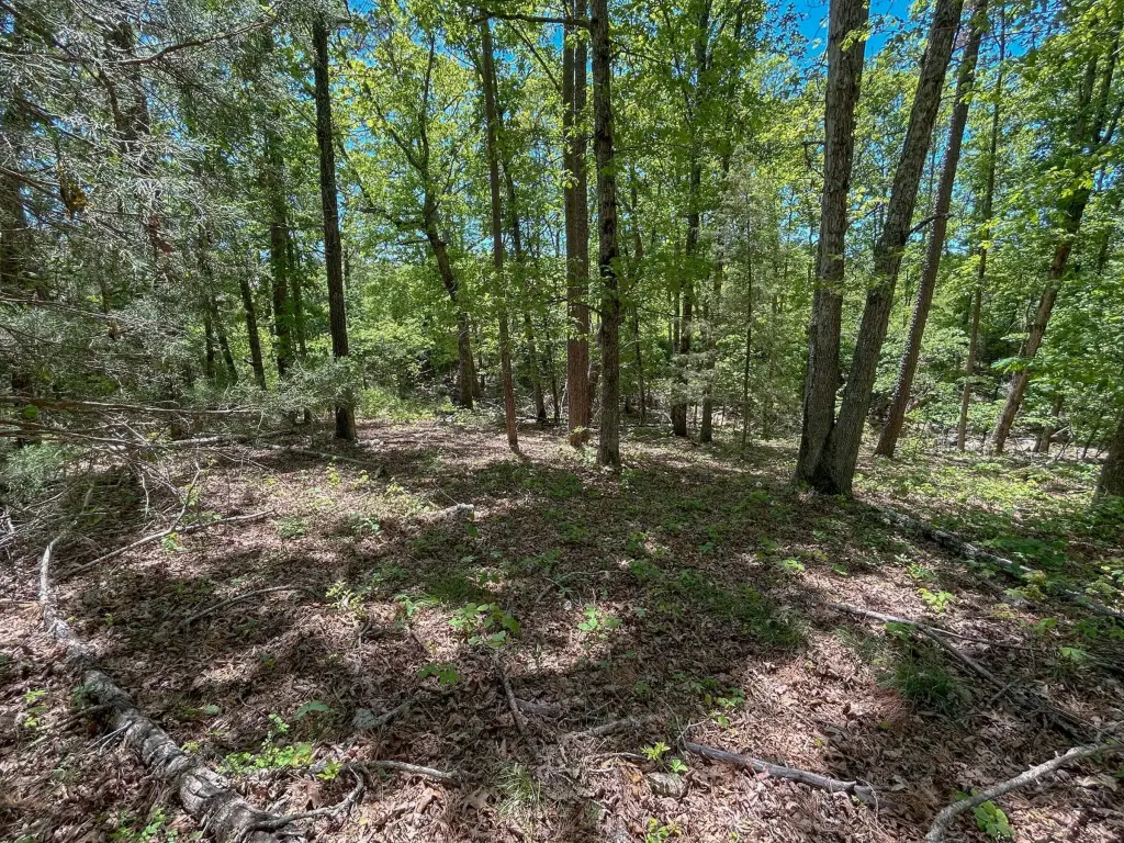 Picture 23