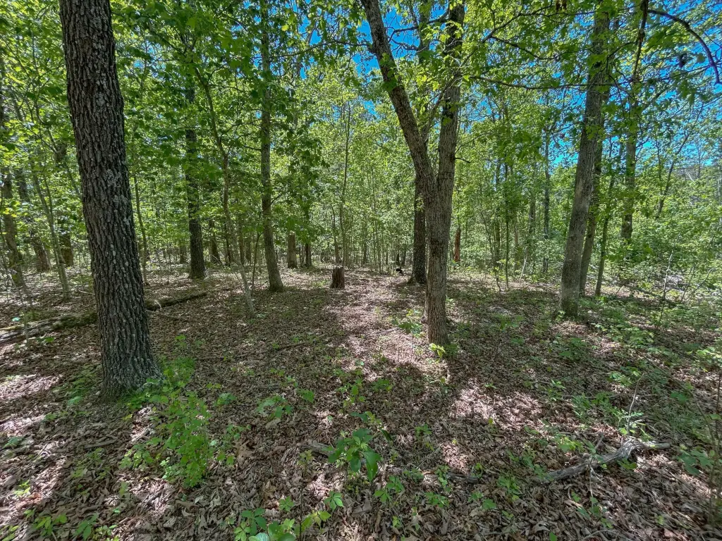 Picture 19