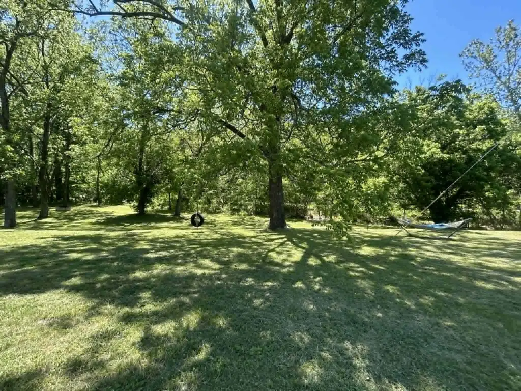 Picture 10
