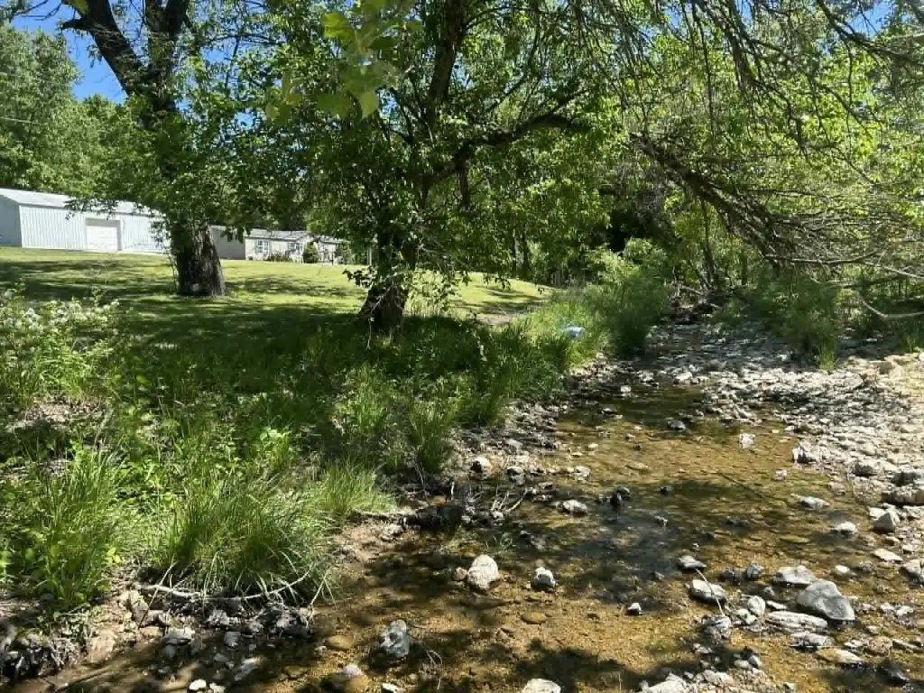 Picture 12