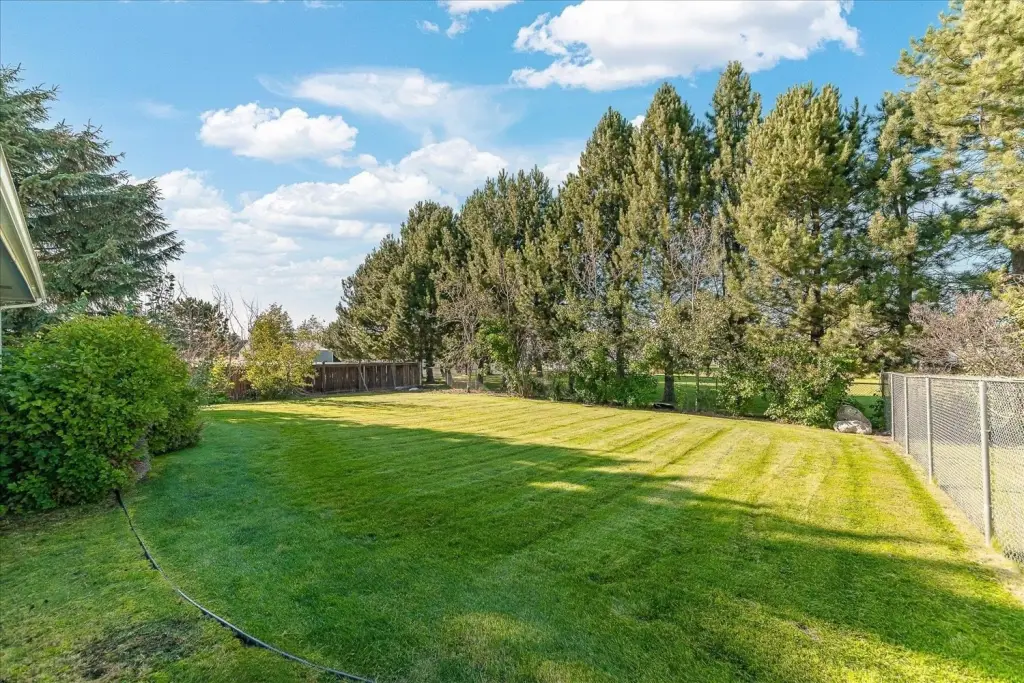 Picture 45