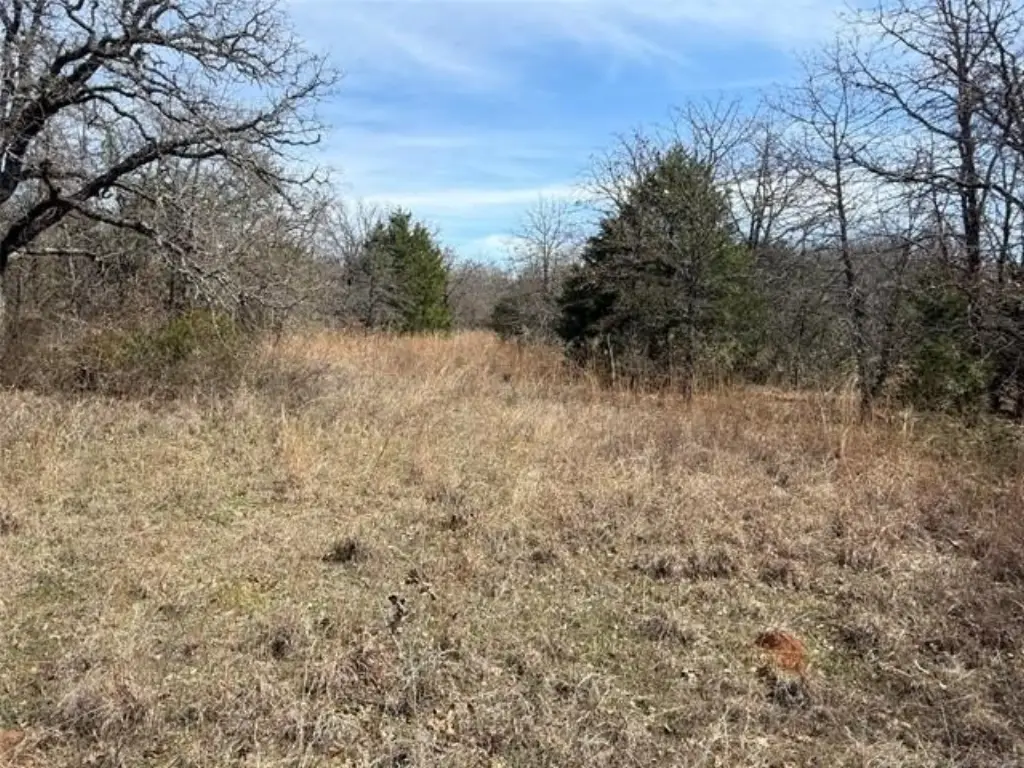 Picture 8