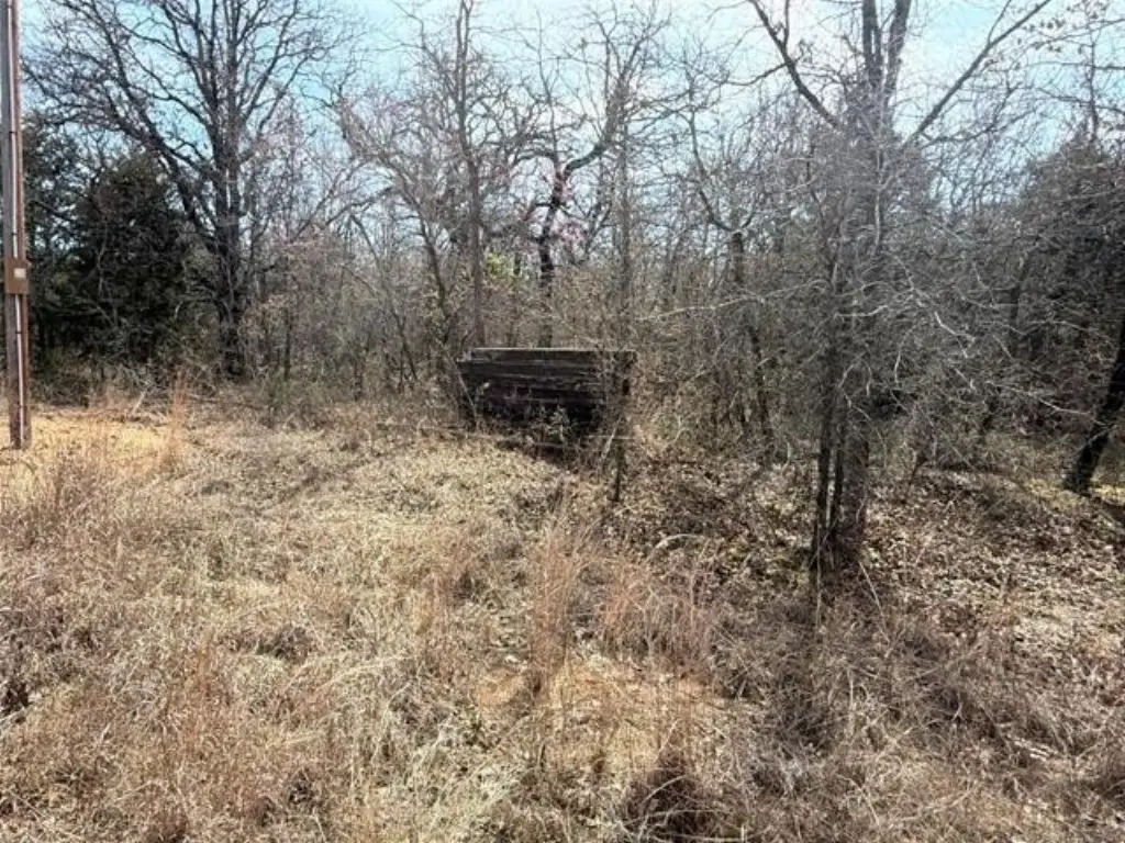 Picture 6