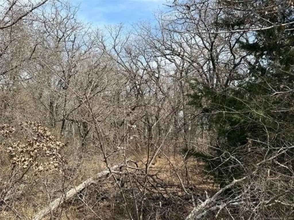 Picture 12