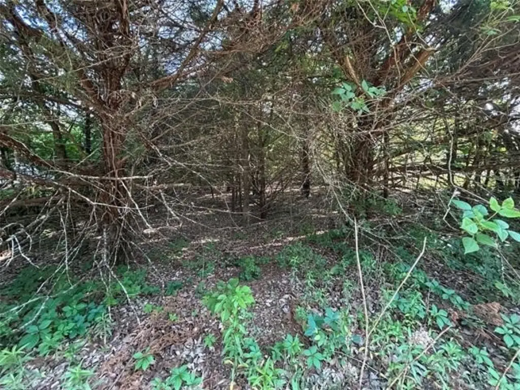 Picture 7