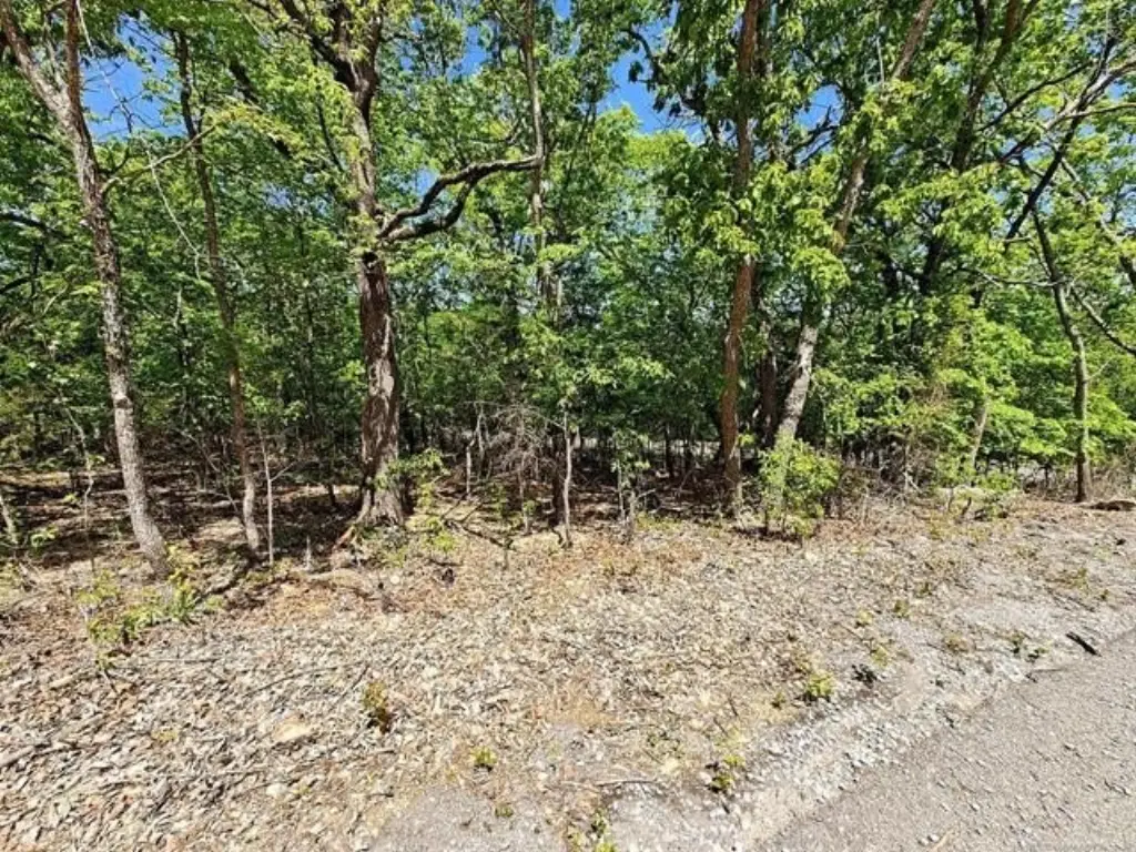 Picture 9