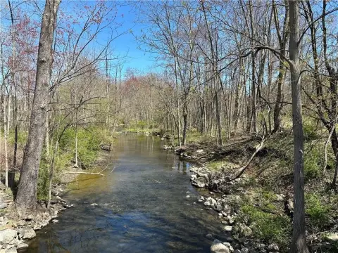 Wooded Land with Stream Frontage