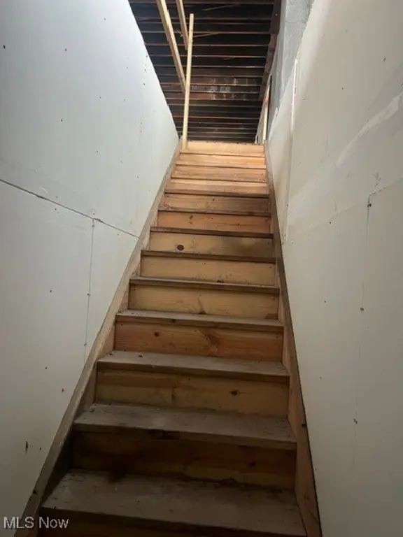 Picture 17