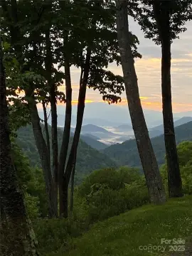 Land in Wolf Laurel Preserve
