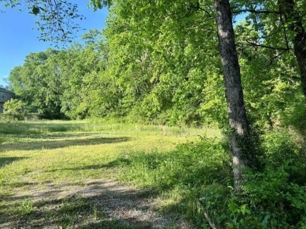 Picture 3