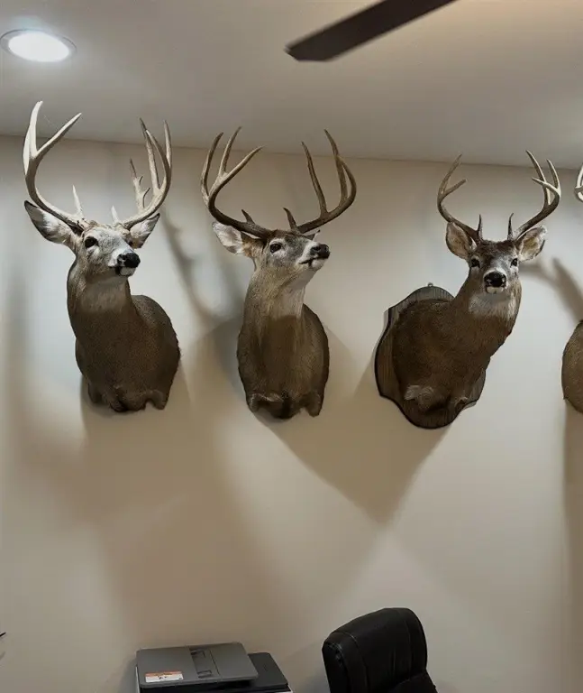 Picture 30