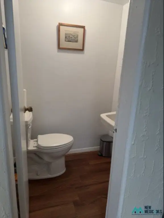 Picture 17
